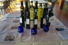 Foto Cori 8 luglio 2020