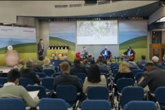 Capol Trionfo Itrana