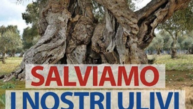 salviamo ulivi
