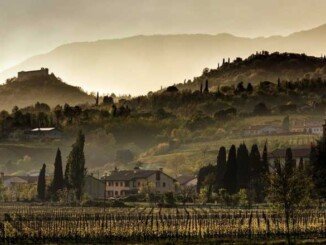 Giornata nazionale del vino e dell'olio