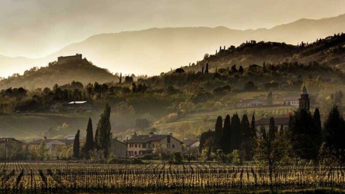 Giornata nazionale del vino e dell'olio