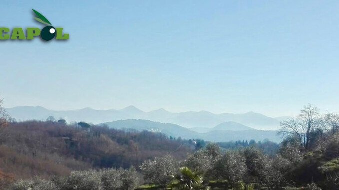 Olio delle Colline, Bassiano