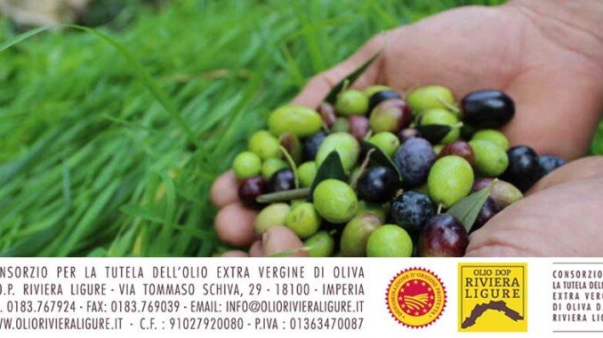 Patto filiera olio DOP Riviera Ligure