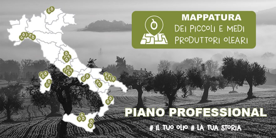 mappatura piano professional