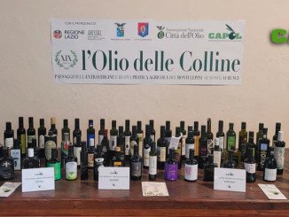 Vincitori concorso L'Olio delle Colline