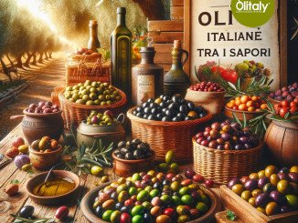 Le varietà di olive