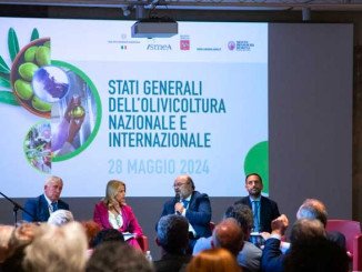 Stati Generali Olivicoltura