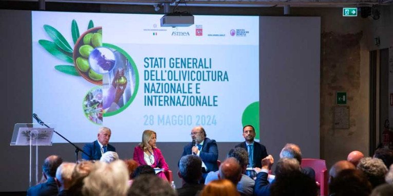 Stati Generali Olivicoltura