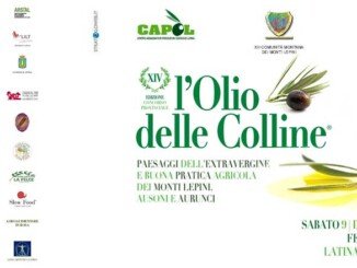 assaggiatore e giurato Olio Delle Colline