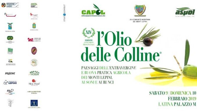 assaggiatore e giurato Olio Delle Colline