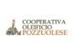 Cooperativa Oleificio Pozzuolese